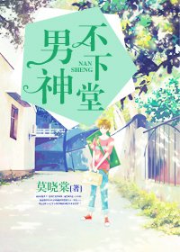 重生之男神不下堂/來歸