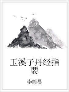 《玉溪子丹經指要》
