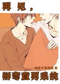 《(伪)反系统再见,掰弯直男系统!》