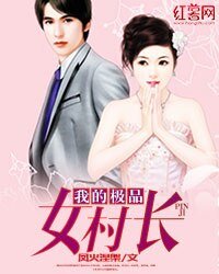 《我的極品女村長》