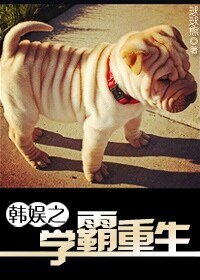 《(韓娛同人)韓娛之學霸重生》