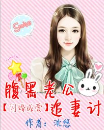 闪婚成爱:腹黑老公追妻计