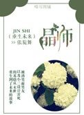 重生未來之晶師