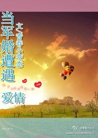 当军婚遭遇爱情/上校先生，乃就从了我吧！