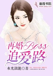 《再婚BOSS追愛路》