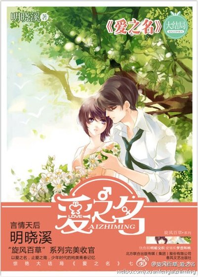 《愛之名》