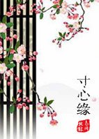 问情之寸心缘
