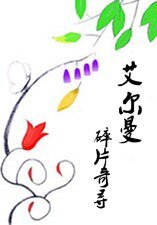 《艾爾曼:髓片奇尋》
