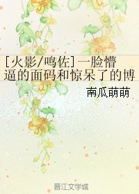 （火影同人）[火影/鳴佐]一臉懵逼的面碼和驚呆了的博人