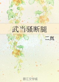 《(BL/手游楚留香传奇同人)武当骚断腿》