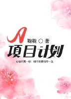 A项目计划