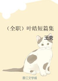 (BL/全職同人)葉皓短篇集