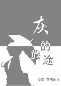 （寵物小精靈同人）[寵物小精靈bw]灰的旅途