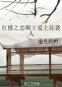 《(紅樓同人)紅樓之忠順王愛上花襲人》