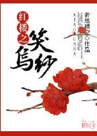 (红楼梦同人)红楼之笑乌纱