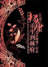 《(紅樓同人)楊康重生到林府》