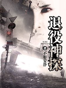 《退役神探》