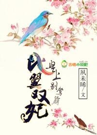 《比翼双妃,皇上别驾崩》