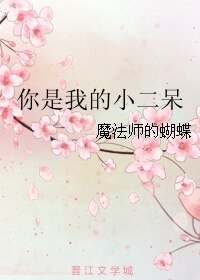你是我的小二呆