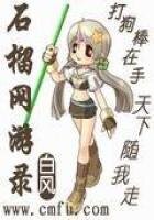石榴網遊錄