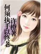 《何須執手以終老》