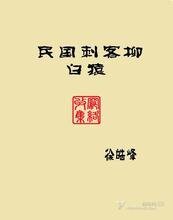 民国刺客柳白猿(出书版)