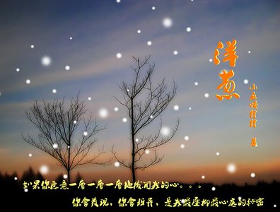 洋蔥(修改版)