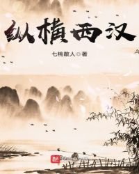 縱橫西漢