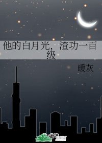 《他的白月光,渣功一百級》