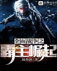 《全面战争之霸主崛起》