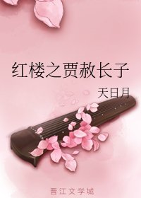 《(BG/红楼同人)红楼之贾赦长子》
