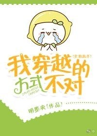 (BG/全職高手同人)我穿越的方式不對