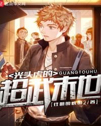 《光头虎的超武末世》