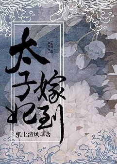 太子妃嫁到