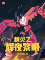 (寵物小精靈)精靈之輝夜黎明