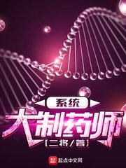 《大製藥師系統》