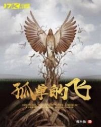 《孤單的飛》