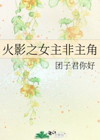 《火影之女主非主角》