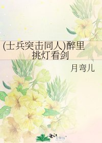 《(士兵突擊同人)醉裡挑燈看劍》