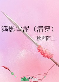 鸿影雪泥(清穿)