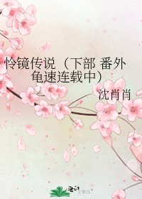 怜镜传说(下部 番外龟速连载中)