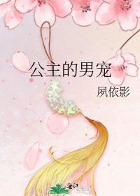 《公主的男宠》