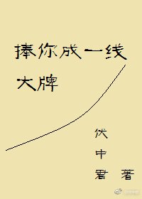 《捧你成一线大牌》