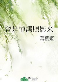 曾是惊鸿照影来