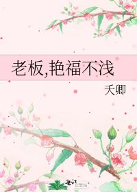 《老板,艳福不浅》