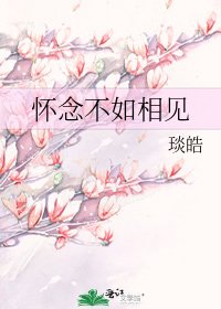 懷念不如相見