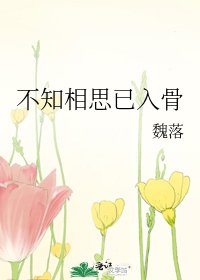 《不知相思已入骨》