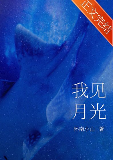 《我見月光》