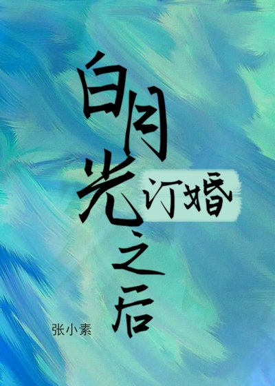 《白月光订婚之后》