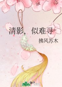 《清影,似難尋》